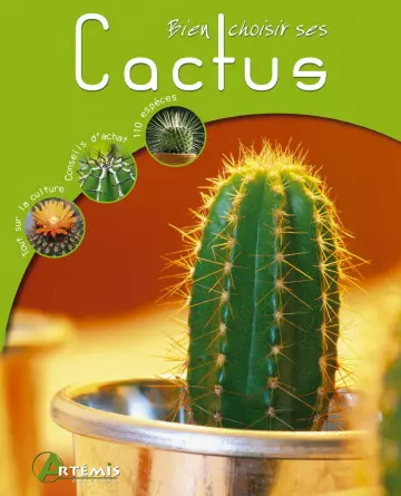 Bien choisir ses cactus