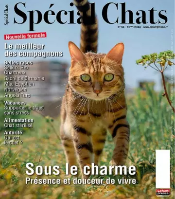 Spécial Chats N°56 – Juillet-Septembre 2022