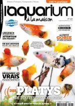 L’Aquarium à La Maison N°129 – Septembre-Octobre 2018