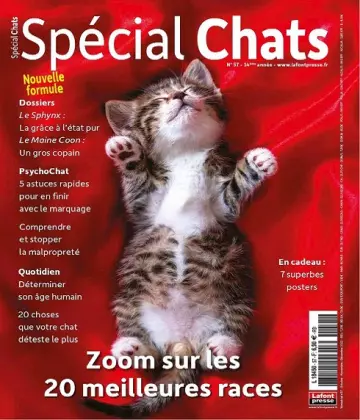 Spécial Chats N°57 – Octobre-Décembre 2022