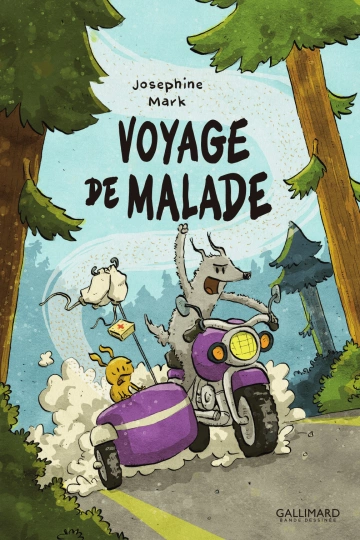 Voyage de Malade