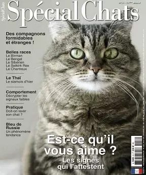 Spécial Chats N°52 – Octobre-Décembre 2021