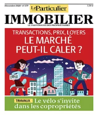 Le Particulier Immobilier N°379 – Novembre 2020