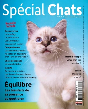 Spécial Chats N°60 – Juillet-Septembre 2023