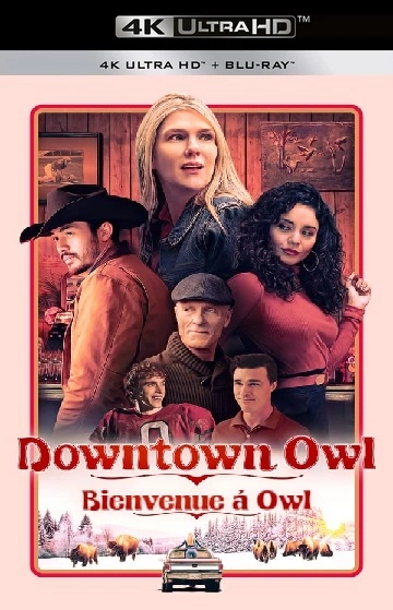 Downtown Owl - MULTI (FRENCH) WEB-DL 4K