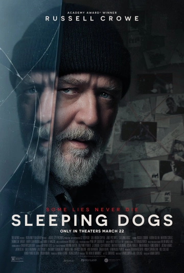 Sleeping Dogs - FRENCH HDRIP