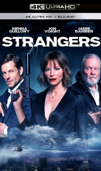 Strangers - MULTI (FRENCH) WEB-DL 4K