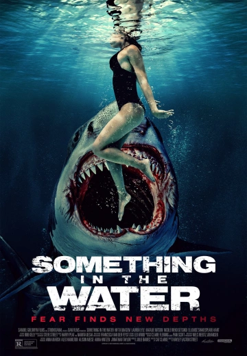 Something In The Water - FRENCH WEBRIP 720p