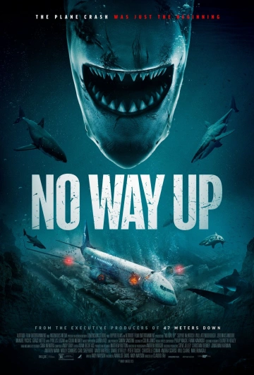 No Way Up - VOSTFR HDRIP