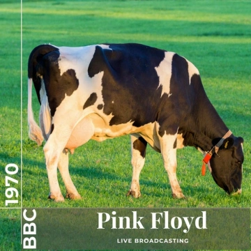 Pink Floyd - Pink Floyd: Live at BBC 1970 (Live)